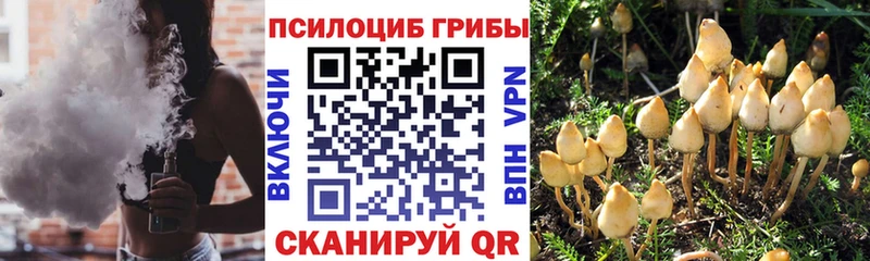 Псилоцибиновые грибы мицелий  блэк спрут вход  Солигалич 
